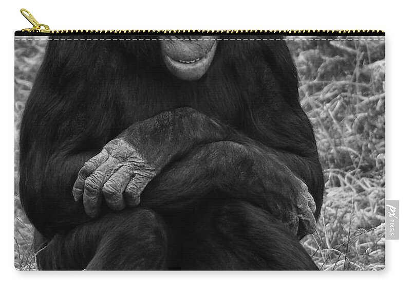 Chimp Zip Pouch featuring the photograph Wanna be like you by Nick Bywater