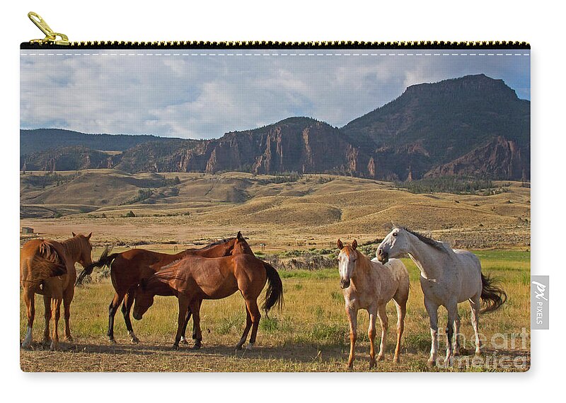 Horse Zip Pouch featuring the photograph Wapiti Horses-Signed-#3241 by J L Woody Wooden