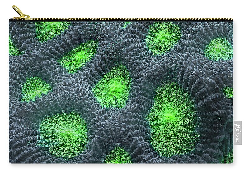 War Coral Zip Pouch featuring the photograph War Coral by Jim Zablotny
