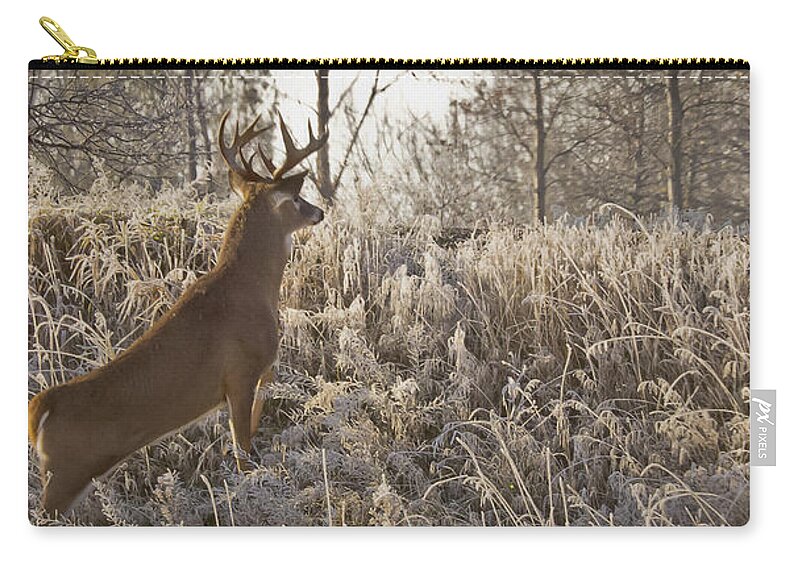 Animals Zip Pouch featuring the photograph Wary Buck by Albert Seger