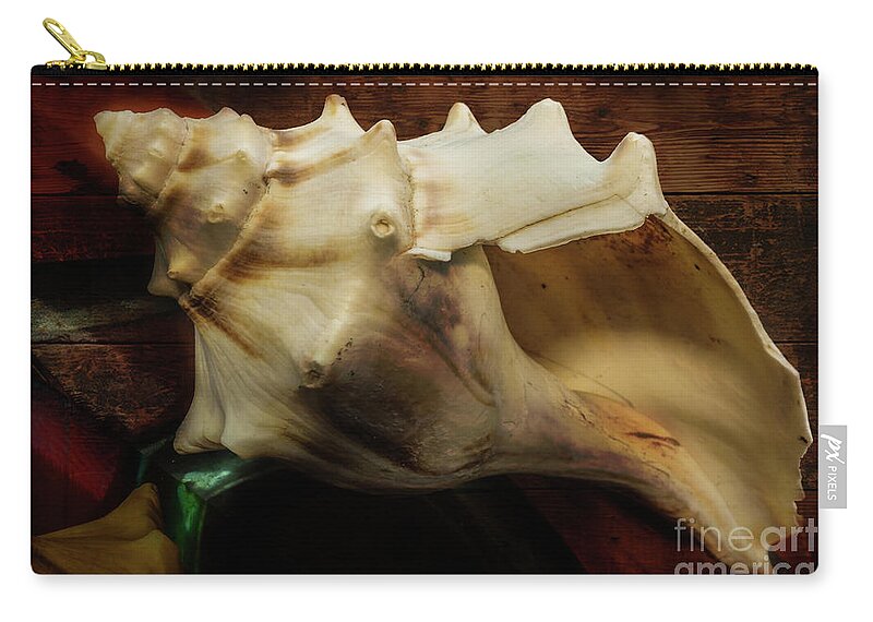 Shells Zip Pouch featuring the photograph Washed Ashore by John Anderson