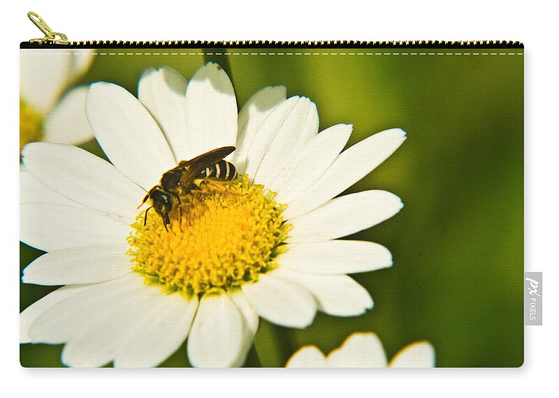 Wasp Zip Pouch featuring the photograph Wasp on Daisy 2 by Douglas Barnett