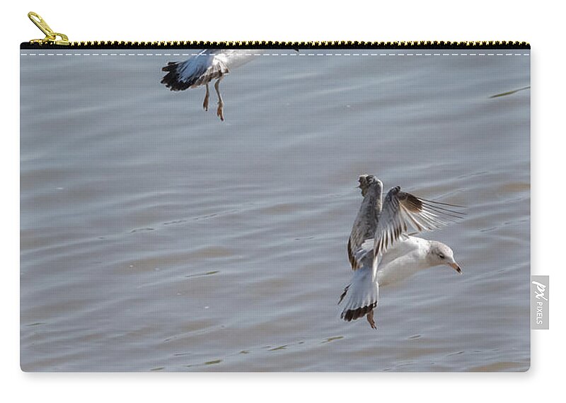 Gull Carry-all Pouch featuring the photograph Watch Out Below by Holden The Moment