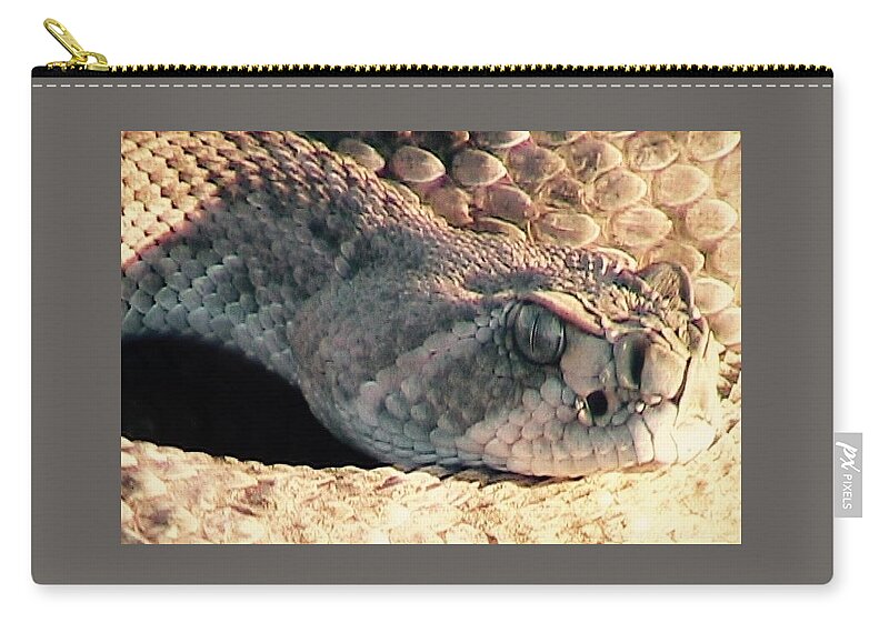  Rattlers Zip Pouch featuring the photograph Watch Out by Judy Kennedy