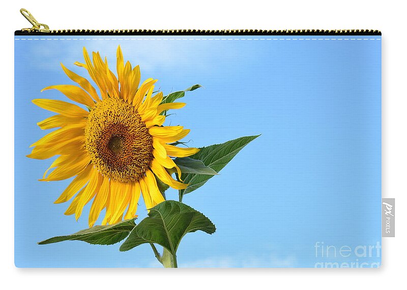 Helianthus Annuus Zip Pouch featuring the photograph Watching Over Life by Angela J Wright