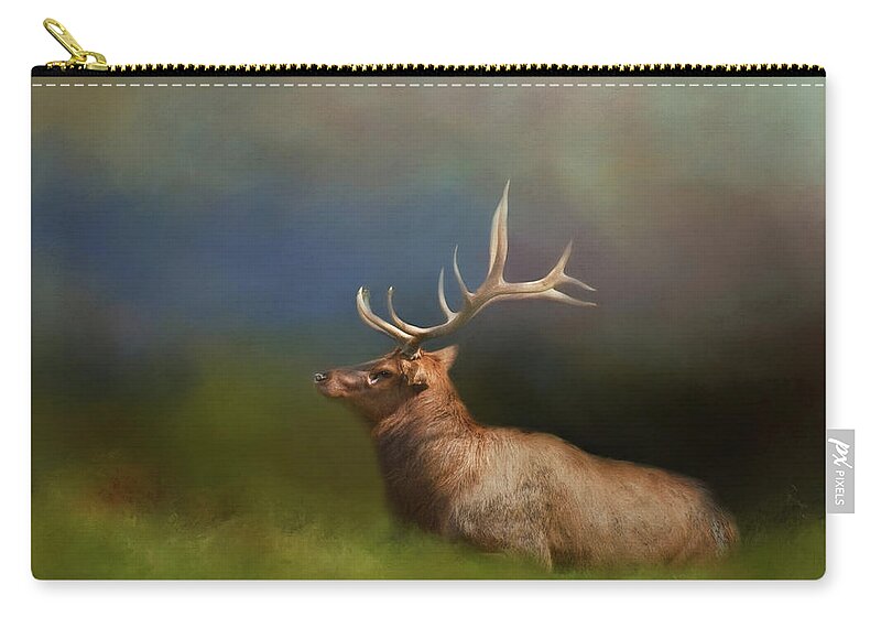 Animal Carry-all Pouch featuring the photograph Watching Over Them by Lana Trussell