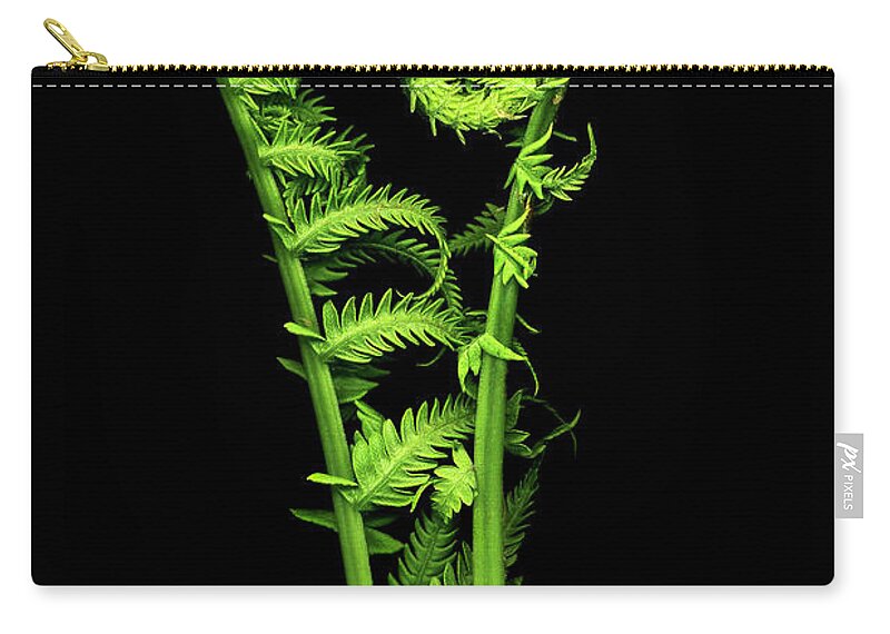 Fiddlehead Zip Pouch featuring the photograph Watching Over You by Patty Colabuono