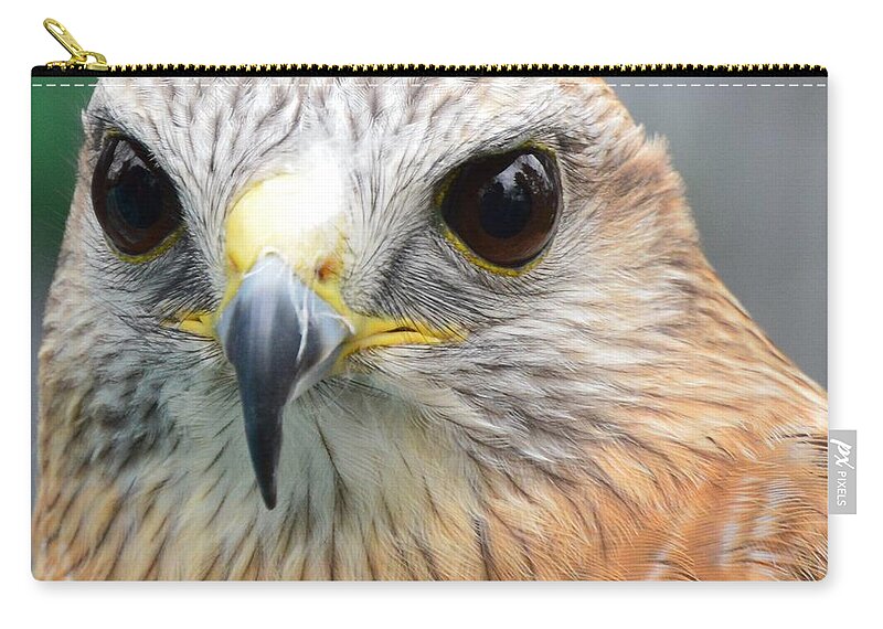 Falcons Zip Pouch featuring the photograph Watching You by Charles HALL