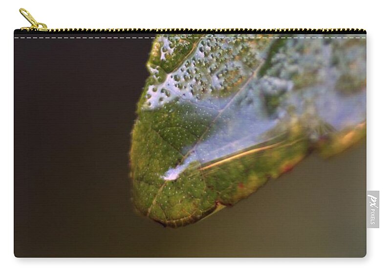 Macro Photography Zip Pouch featuring the photograph Water Droplet V by Richard Rizzo