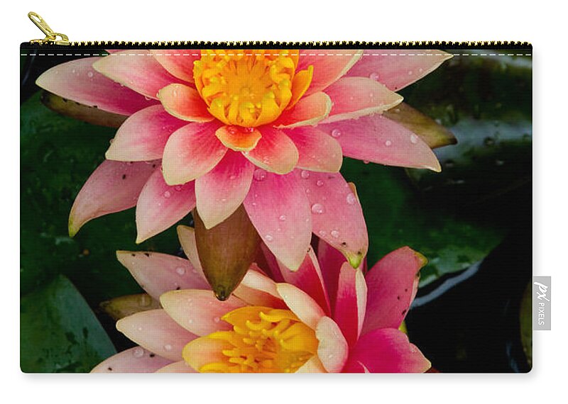 Lily Zip Pouch featuring the photograph Water Lilies by Brent L Ander