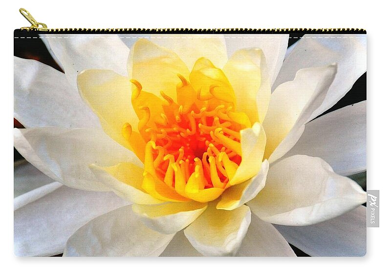 Flower Zip Pouch featuring the photograph Water Lily 2 by Rich Bodane
