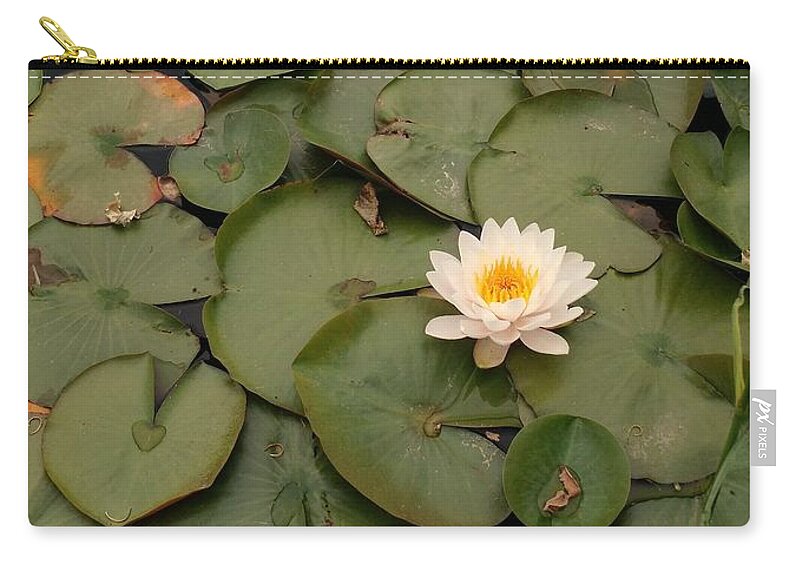 Lily Pads Zip Pouch featuring the photograph Water Lily by Anita Adams