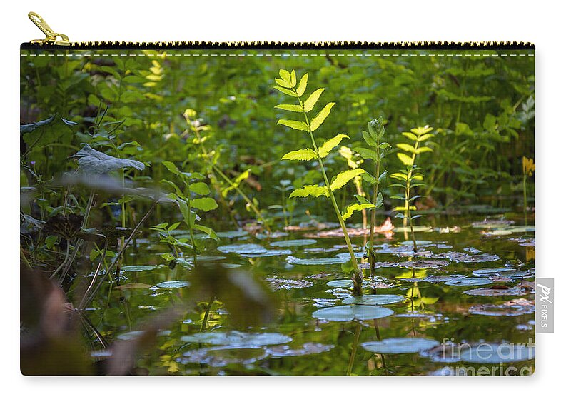 Plants Zip Pouch featuring the photograph Water plants by Mariusz Talarek