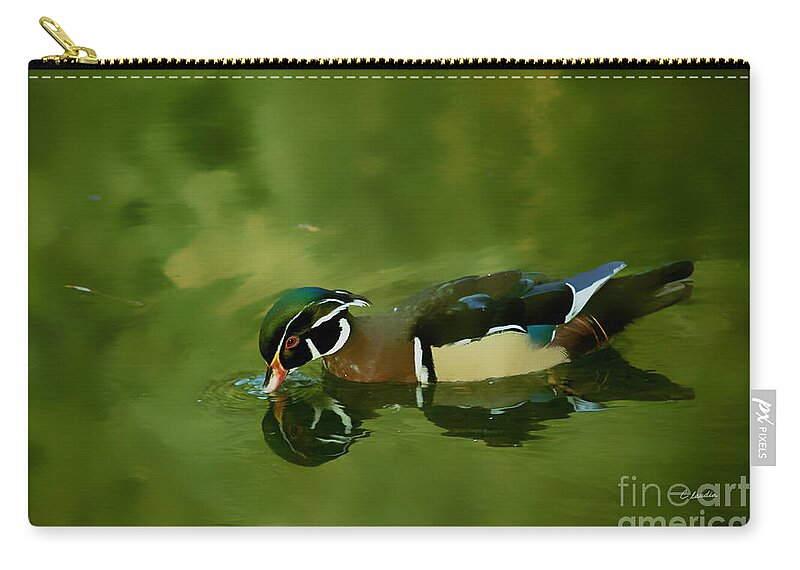 Claudia's Art Dream Zip Pouch featuring the photograph Male Wood Duck Water Reflections by Claudia Ellis