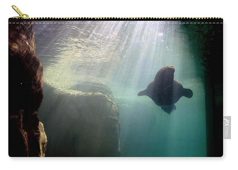 Memphis Zoo Zip Pouch featuring the photograph Water World by DArcy Evans