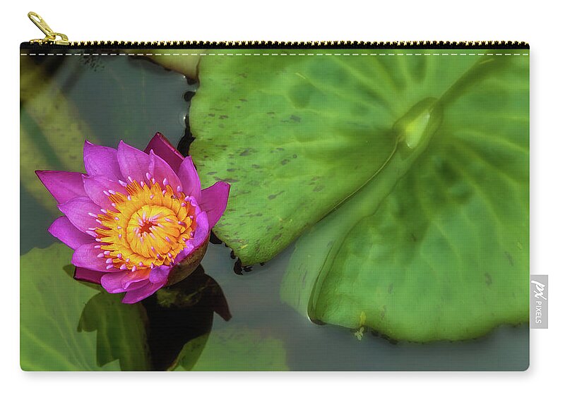 Nature Zip Pouch featuring the photograph Waterlily 5 by Jonathan Nguyen