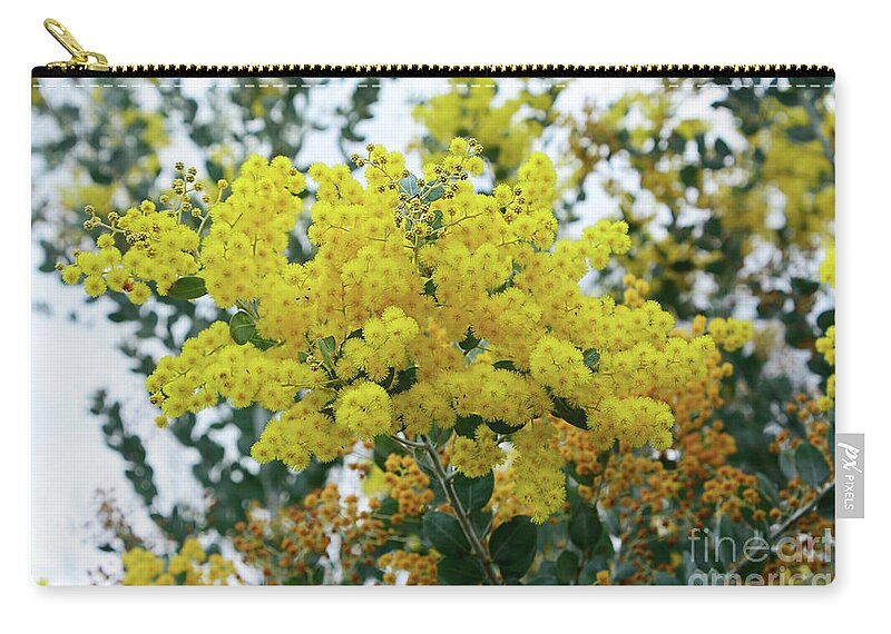 Photography Zip Pouch featuring the photograph Wattle Against Winter Sky by Kaye Menner by Kaye Menner