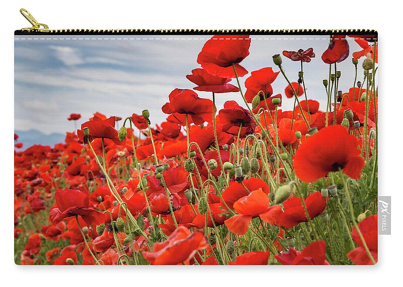 Jean Noren Zip Pouch featuring the photograph Waving Red Poppies by Jean Noren
