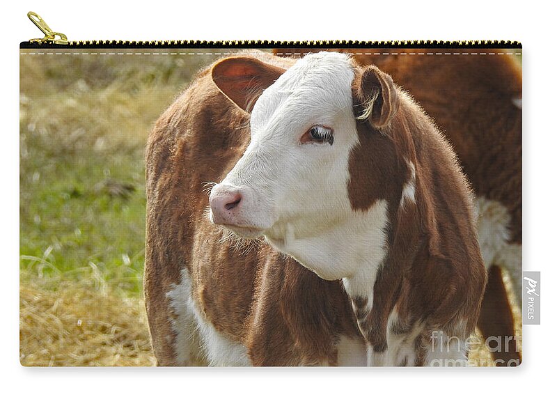 Animals Zip Pouch featuring the photograph We are Cow People by Ella Kaye Dickey