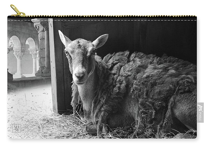 Photography Zip Pouch featuring the photograph We Are Expecting Visitors Soon by Yvonne Wright
