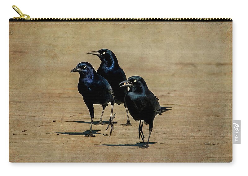 Crows Zip Pouch featuring the photograph We Bad by Cathy Kovarik