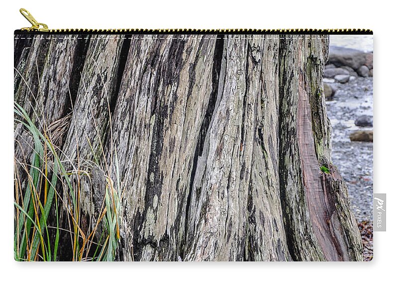 Beach Zip Pouch featuring the photograph Weathered Stump III by Roxy Hurtubise