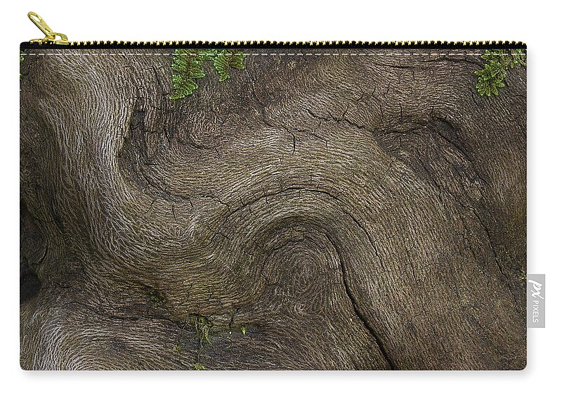 Root Zip Pouch featuring the photograph Weathered Tree Root by Mike Eingle