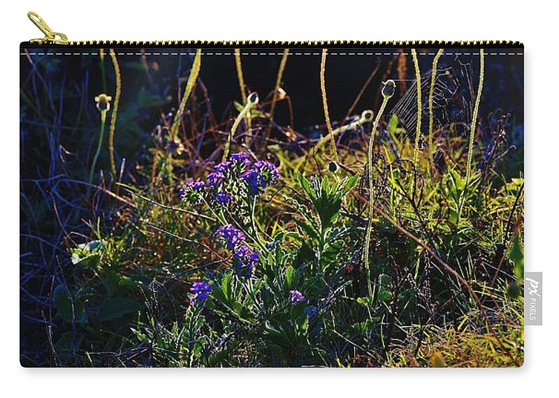 Wildflowers Zip Pouch featuring the photograph Web and Wild Flowers by Craig Wood