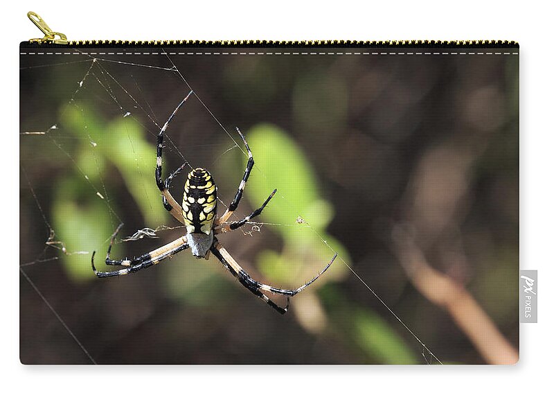 Arachnid Zip Pouch featuring the photograph Web Builder by Travis Rogers