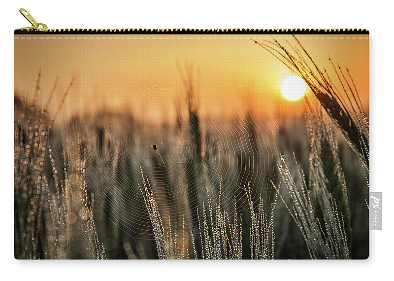 Sunrise Zip Pouch featuring the photograph Web by Crystal Socha