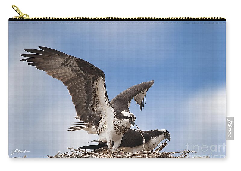 Osprey Zip Pouch featuring the photograph Welcome Home by Bon and Jim Fillpot