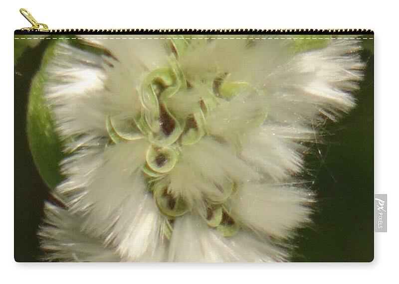 Spring Zip Pouch featuring the photograph Welcome spring by Karin Ravasio