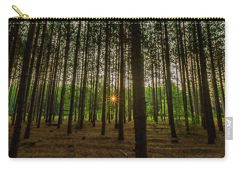 Trees Zip Pouch featuring the photograph Welcome to the Jungle by Joe Holley