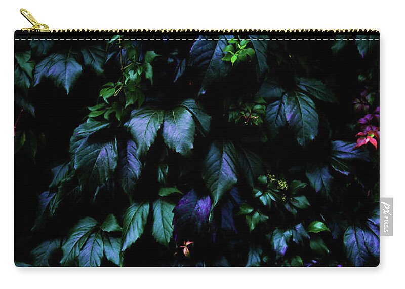 Nature Zip Pouch featuring the photograph Jungle by Nicklas Gustafsson
