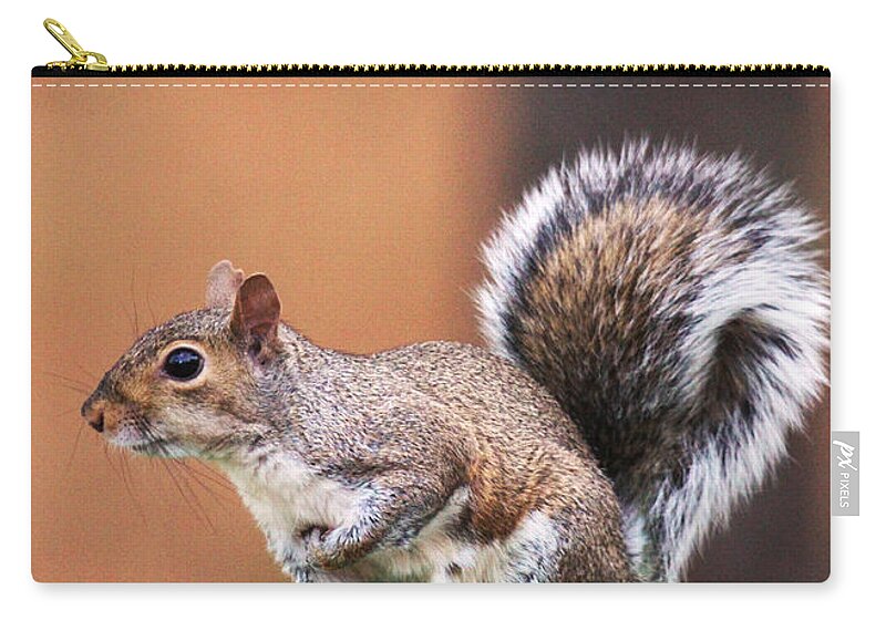 Squirrel Zip Pouch featuring the photograph Well Fed by Jennifer Robin