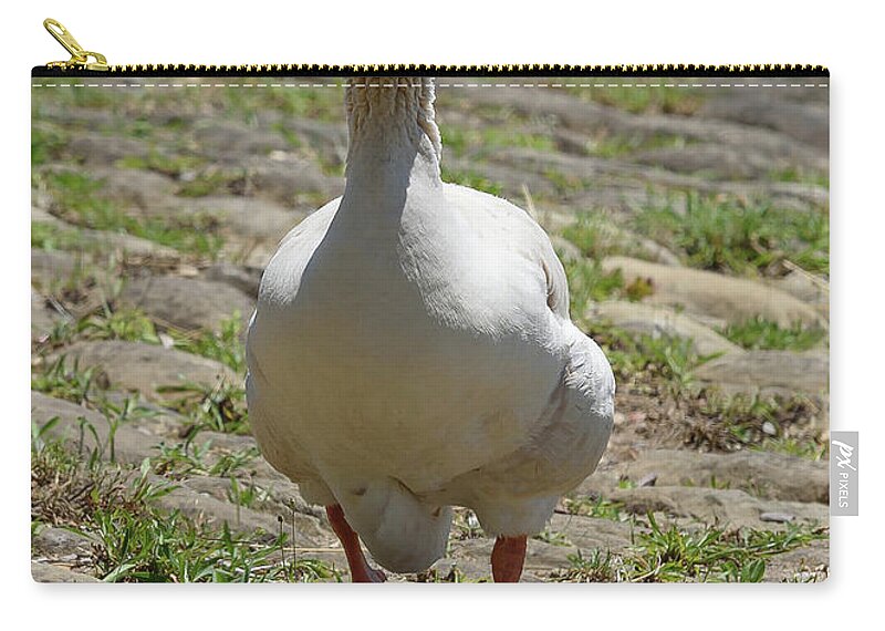 Goose Zip Pouch featuring the photograph Well Hello by Holden The Moment