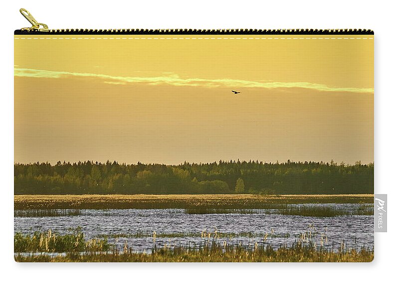 Isosuo Zip Pouch featuring the photograph Western marsh harrier at Puurijarvi by Jouko Lehto
