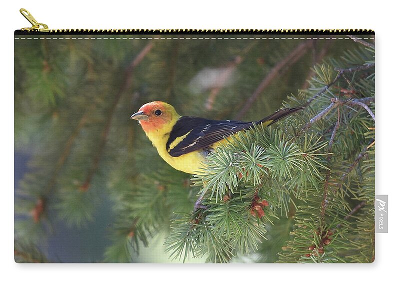  Carry-all Pouch featuring the photograph Western Tanager by Ben Foster