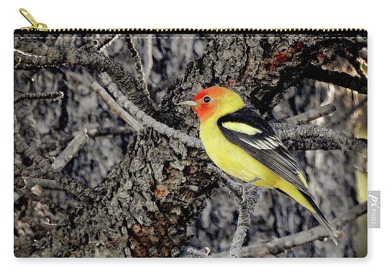 Western Tanager Zip Pouch featuring the photograph Western Tanager by Dawn Key