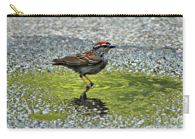 Bird Zip Pouch featuring the photograph Wet Feathers by Barbara S Nickerson