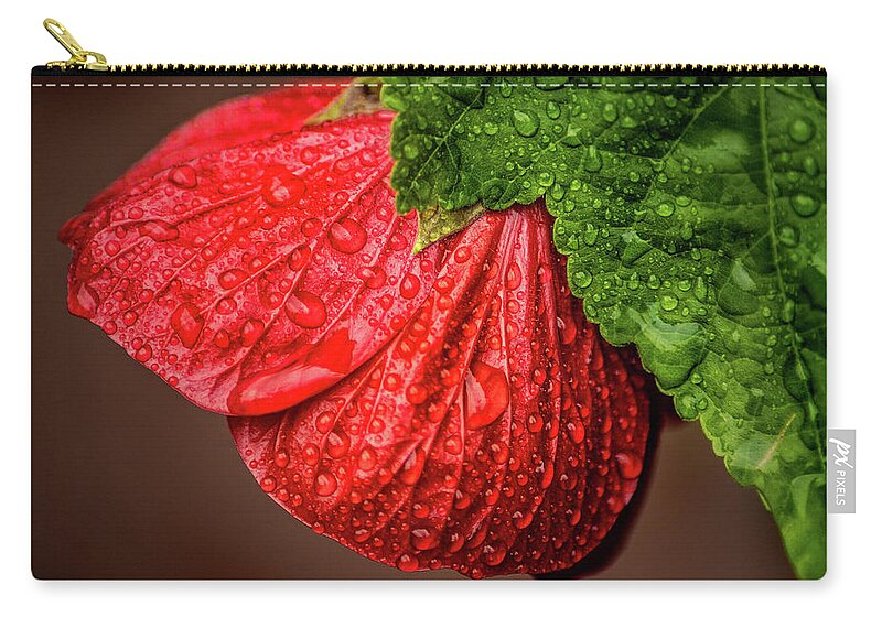 Flower Zip Pouch featuring the photograph Wet Flower-Abutilon by Don Johnson