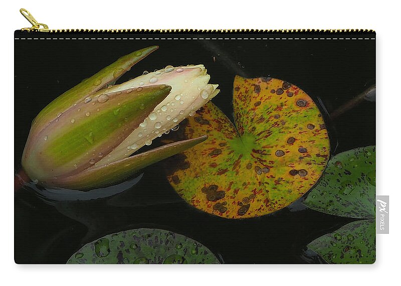 Rain Zip Pouch featuring the photograph Wet Lily by Farol Tomson