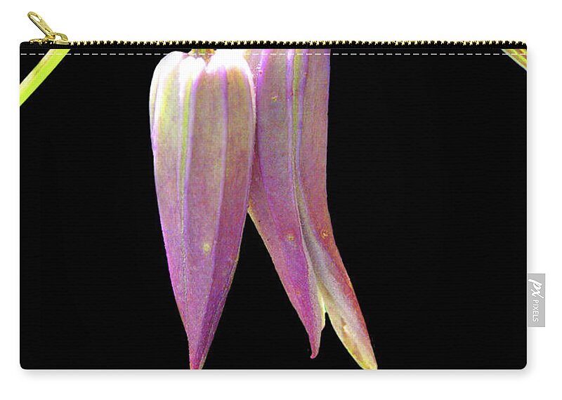 Flora Zip Pouch featuring the photograph We've got to stick together by Mariarosa Rockefeller