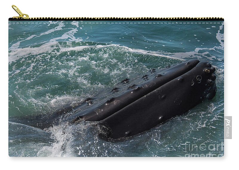 Whale Zip Pouch featuring the photograph Whale Tubercles by Lorraine Cosgrove