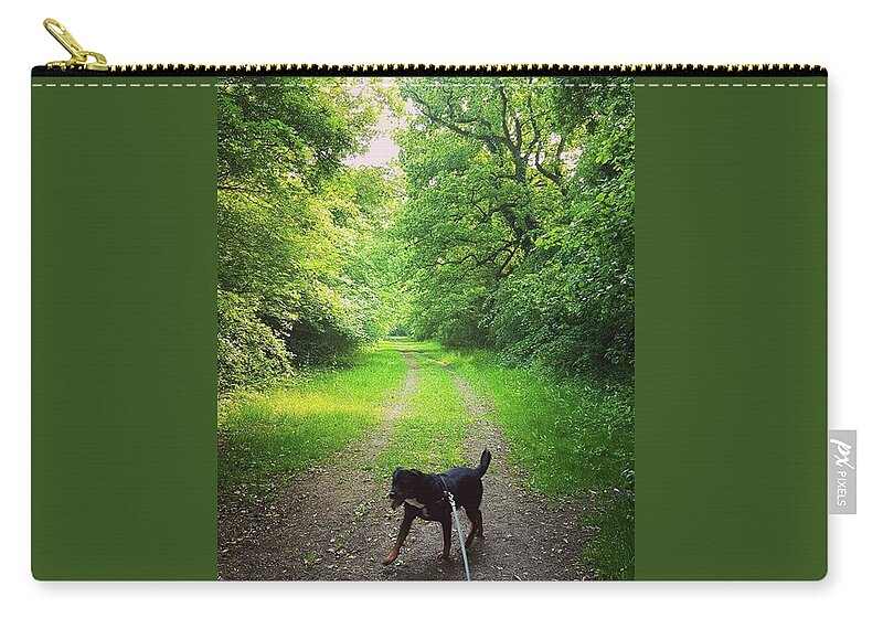 Lovedogs Zip Pouch featuring the photograph Bridleway Dog Walk by Rowena Tutty