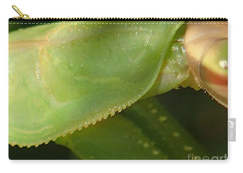 Nature Zip Pouch featuring the photograph What Am I? #1 by Christina Verdgeline