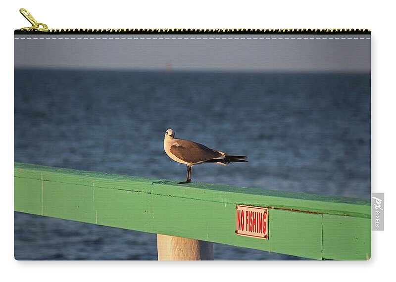 Seagull Zip Pouch featuring the photograph What Do You Mean No Fishing? by Michiale Schneider