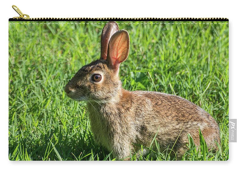 Wildlife Zip Pouch featuring the photograph What? by John Benedict