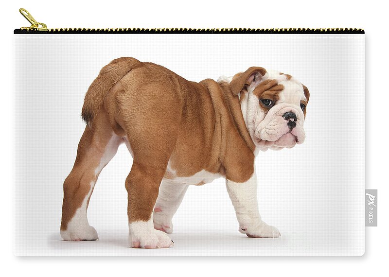 Bulldog Zip Pouch featuring the photograph What you staring at? by Warren Photographic