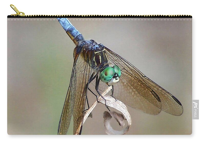 Nature Zip Pouch featuring the photograph What's Up by Peggy Urban